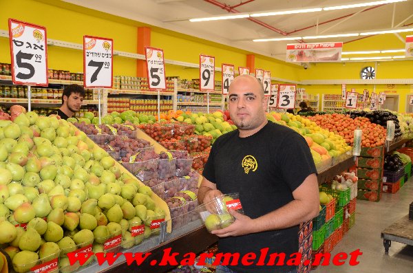 כמעט חינם התחיל לעבוד בדאלית אל כרמל